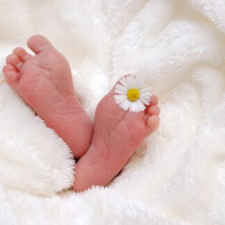 The Baby & Mama Shop